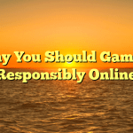 Why You Should Gamble Responsibly Online